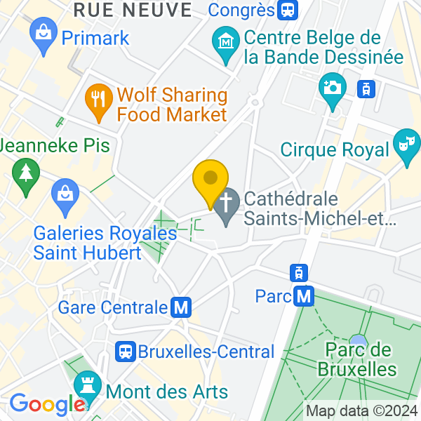 Rue du Bois Sauvage, 1000, Bruxelles