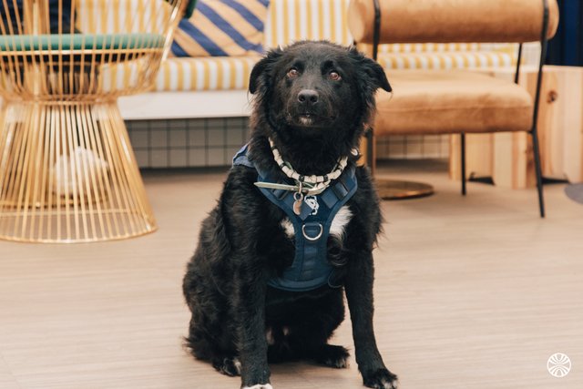 vialytics FRANCE SAS