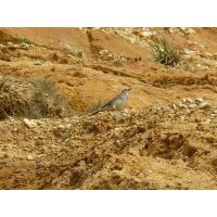 Pentest Novembre 2025 Cure53 epsilon