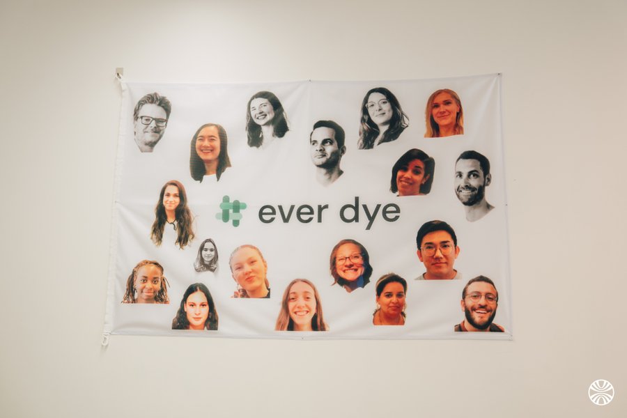 EverDye