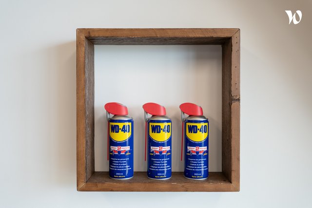 WD 40 COMPANY LTD