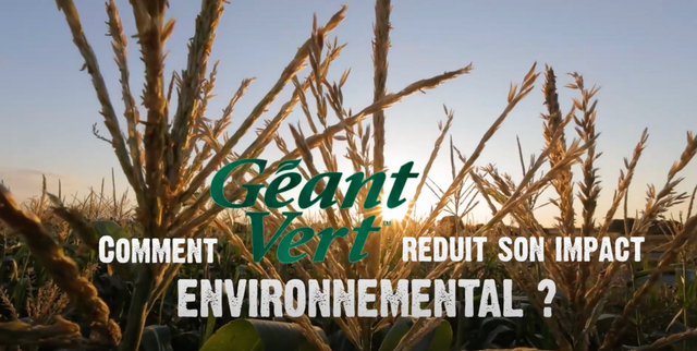 Comment Géant Vert réduit son empreinte environnementale - General Mills France