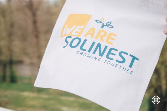 Solinest