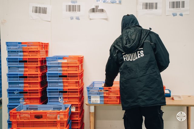 Foodles