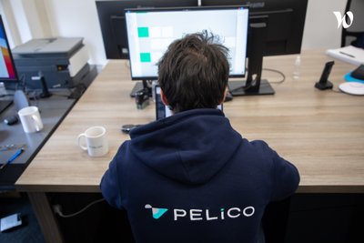 Pelico