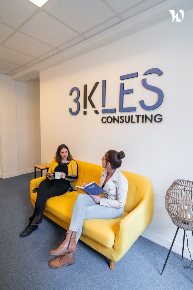 3KLES Consulting