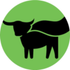 Beyond Meat