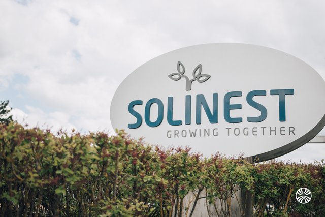 Solinest