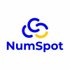 NUMSPOT