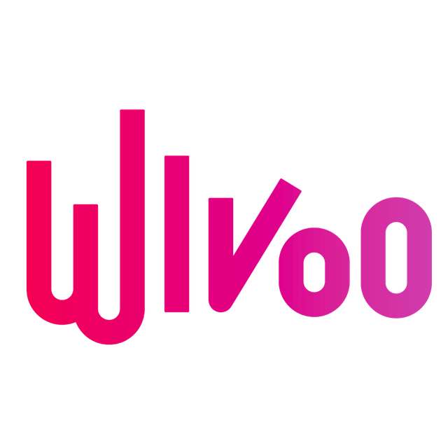 WiGroup (Wivoo, WiTADA, Wishow, WiAcademy)