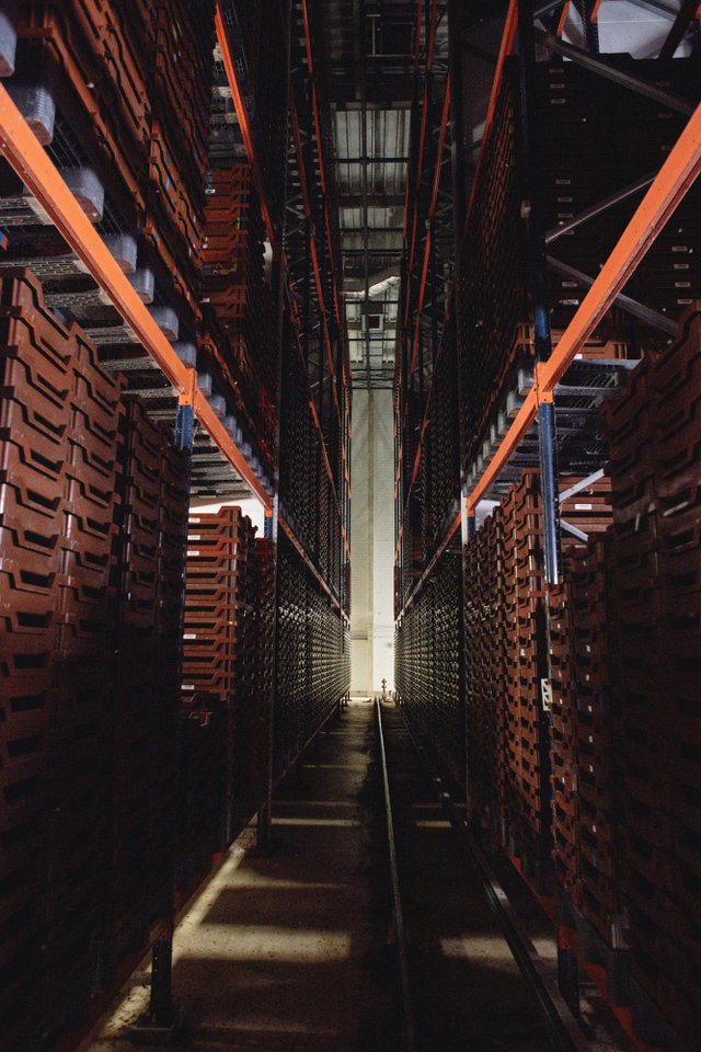 Reinventing the food chain - Ÿnsect