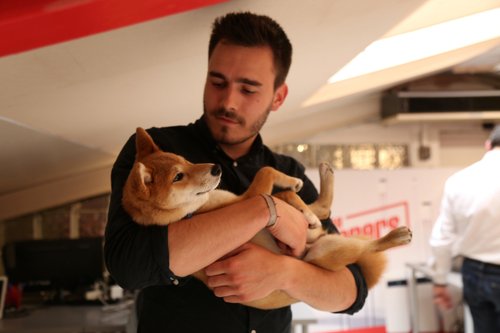 Peut-on amener son animal au bureau ?