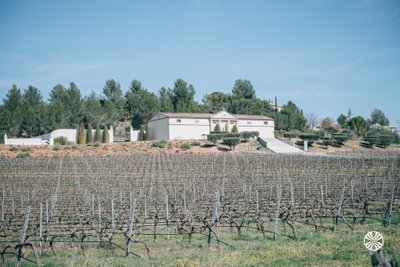 AdVini