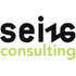 Seize Consulting