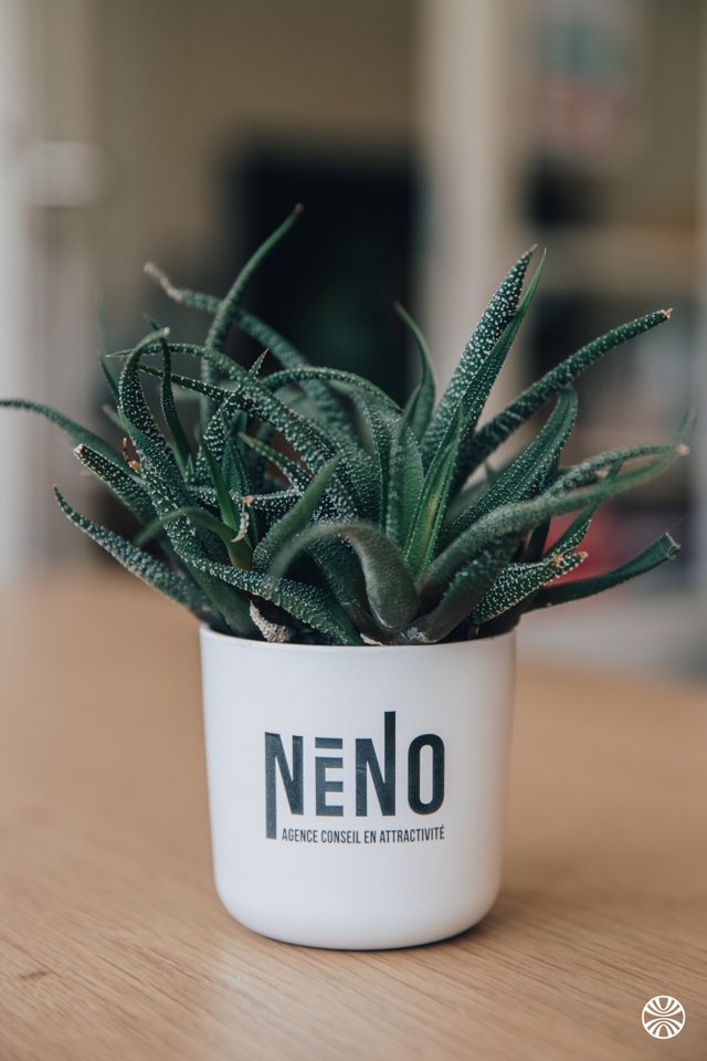 NéNo