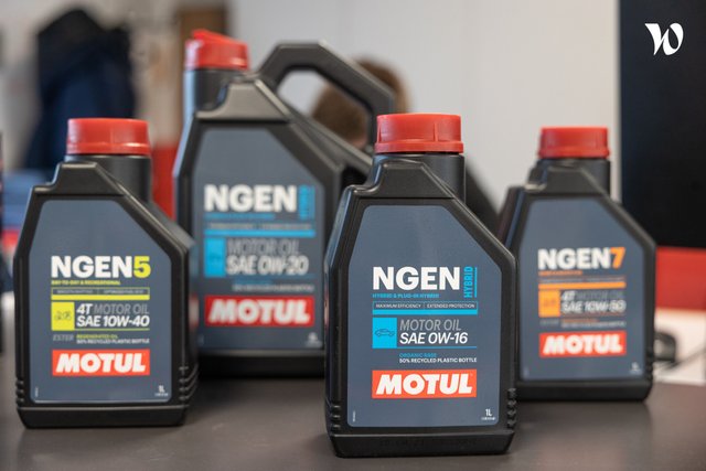 Motul