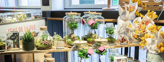 Offres D Emploi Et Stage Nature Decouvertes