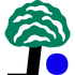 Platane