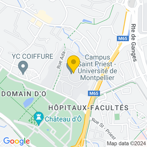 950, Rue Saint-Priest, 34090, Montpellier