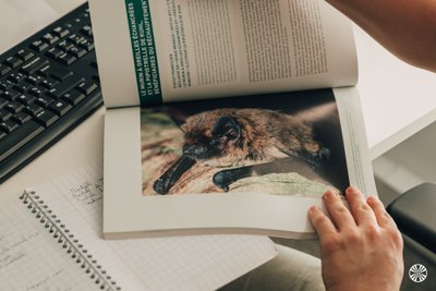 CDC Biodiversité