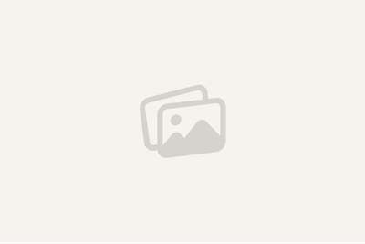 NetSyst