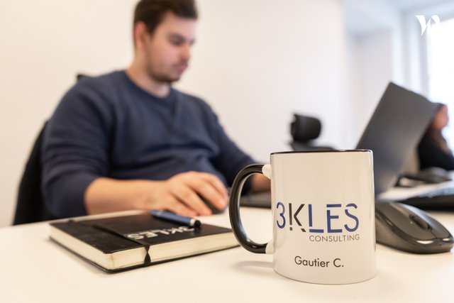 3KLES Consulting