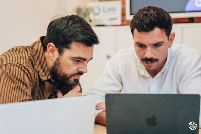 Link Consulting