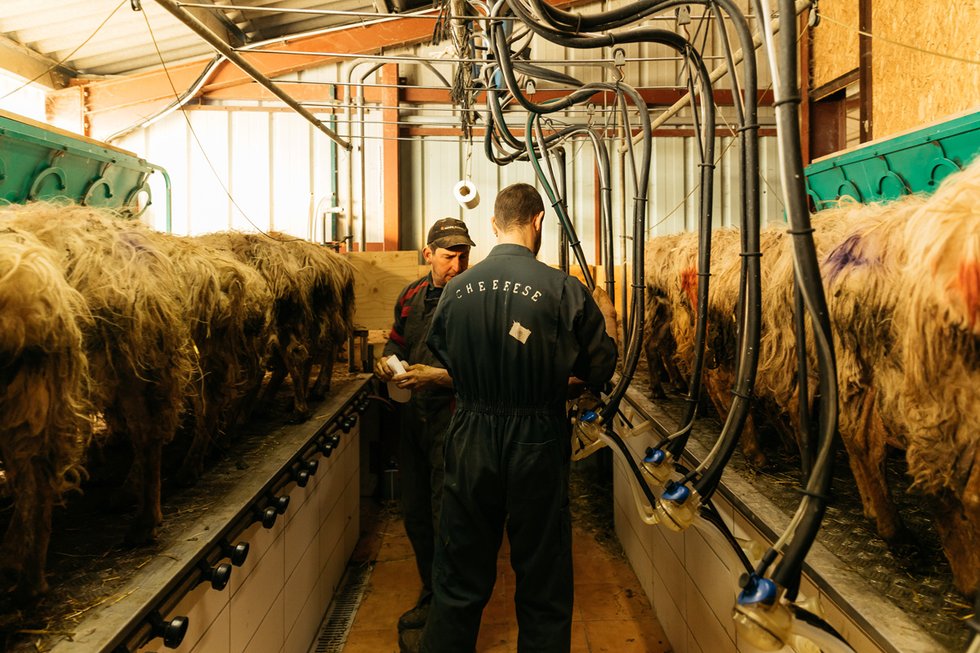 Agriculture : « La main d’œuvre est pénurique et on a des difficultés à recruter »