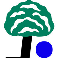 Platane