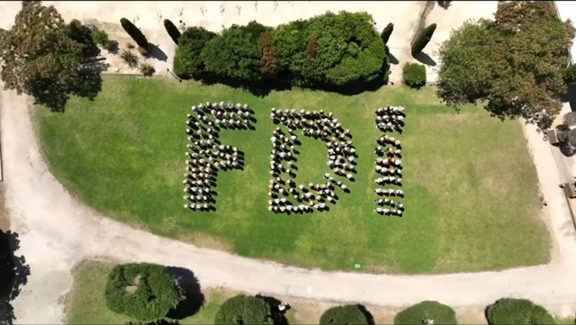 Groupe FDI