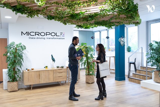 Micropole