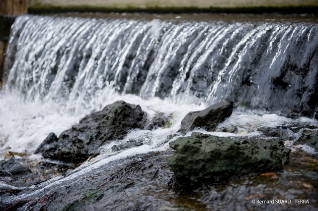 Agence de l'eau Seine-Normandie