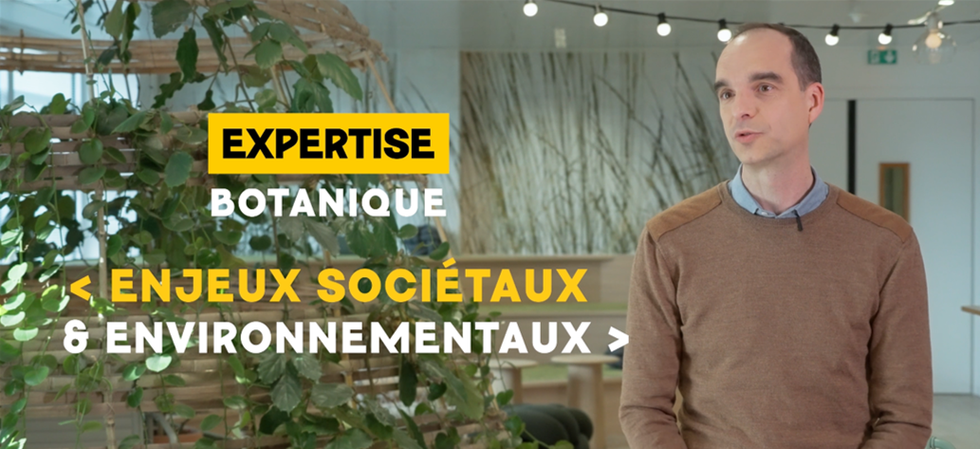 Discover the corporate culture at Yves Rocher - Yves Rocher