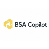BSA PARTNERS