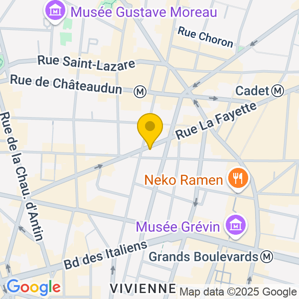 Google Map