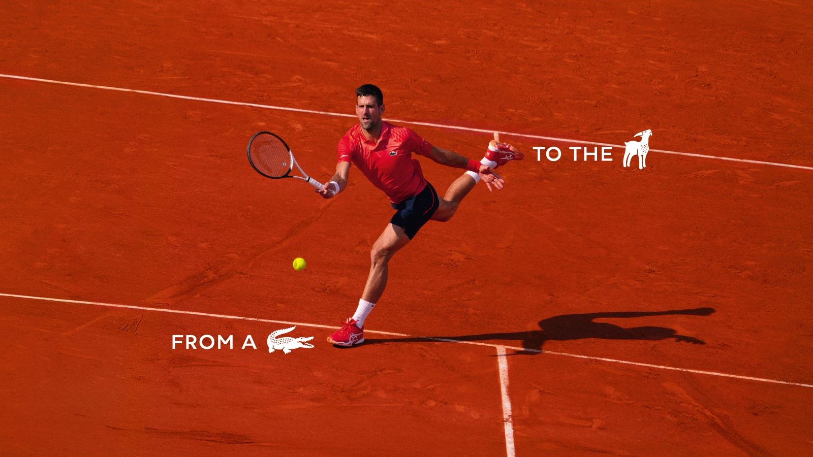 téléchargement (1).jpeg