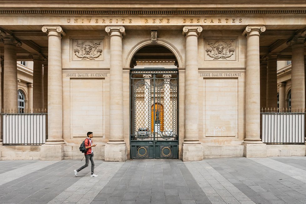 Université vs école, quel cursus prépare le mieux au monde du travail ?