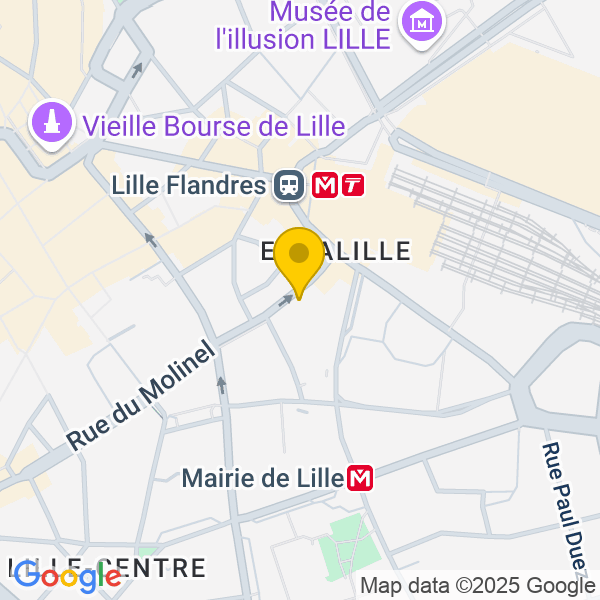 29, Rue du Molinel, 59800, Lille