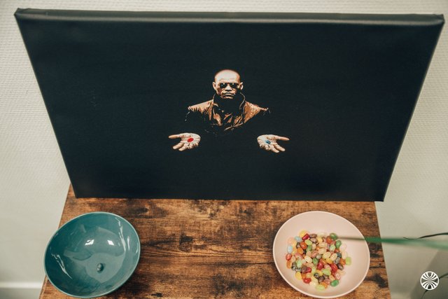 Exod - Your personal leisurer