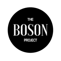 The Boson Project