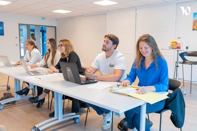 ALTITUDE ASSOCIES