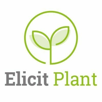 Elicit Plant