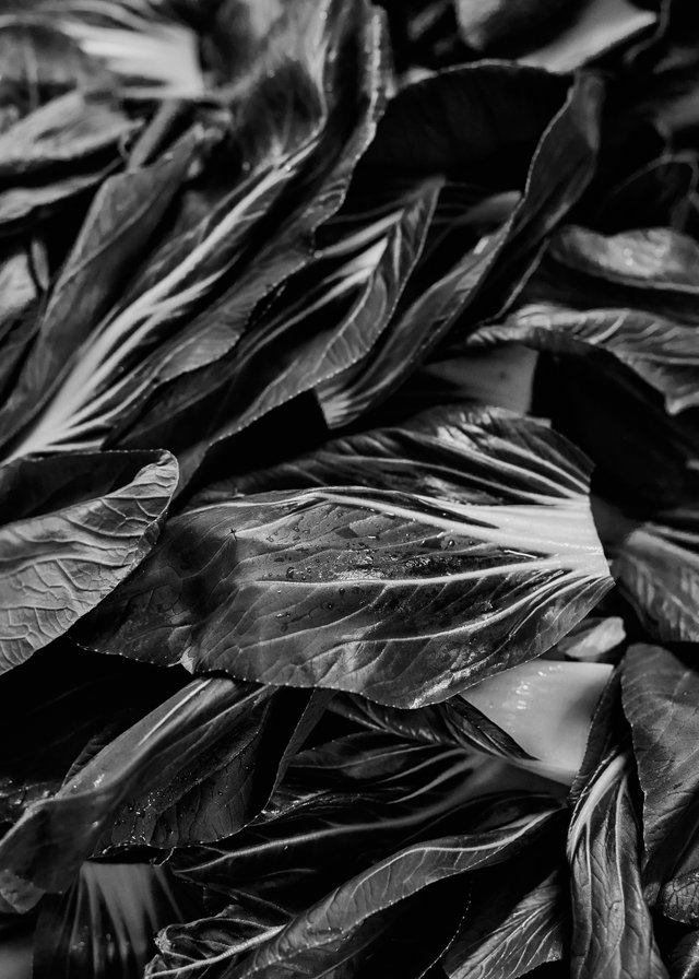 Groupe Potel et Chabot