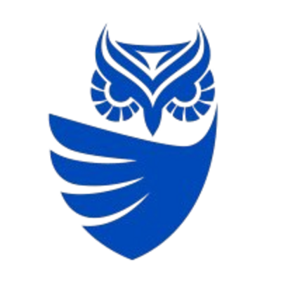 Cognisys