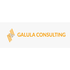 GALULA CONSULTING