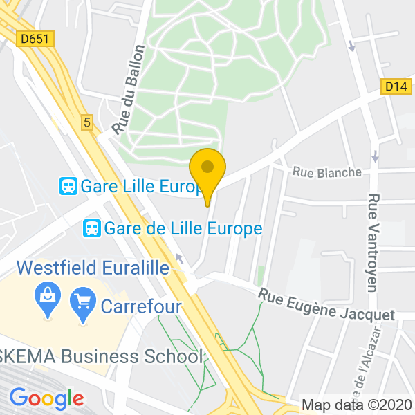 34 Rue d'Athènes, 59800, Lille