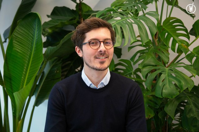 Rencontrez Alexandre, Strategy Director - tigrz.paris