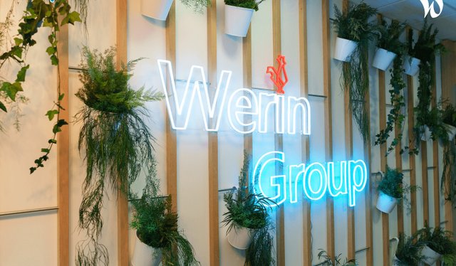 Werin Group