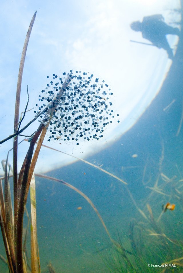 Agence de l'eau Seine-Normandie