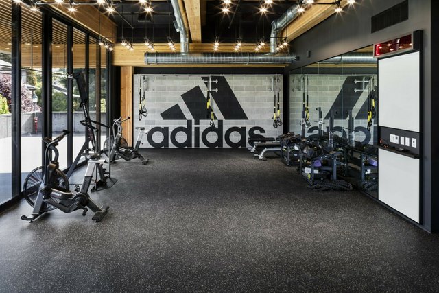 Adidas france chiffre clearance d'affaire